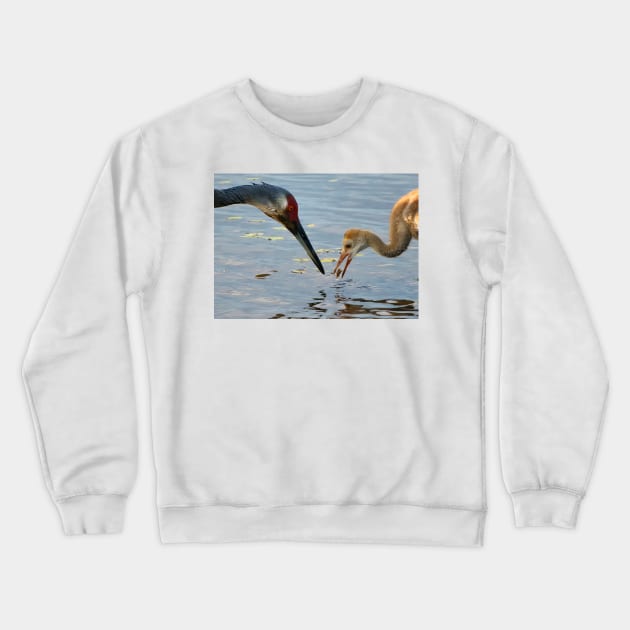 Sandhill crane parent with chick Crewneck Sweatshirt by joesaladino